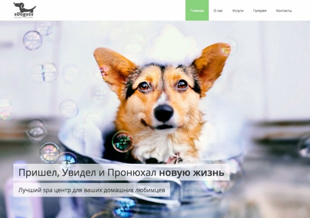 sDoggos - адаптивный сайт салона красоты для животных